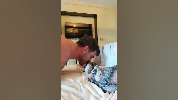 Birds Waiting for Their Turn to Get Kissed by Dad as He Calls Them by Their Names - DayDayNews