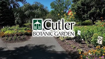 All America Selections Design Challenge 2025 Submission Video