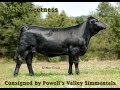 Lot #39 -- PVSM Sweetness