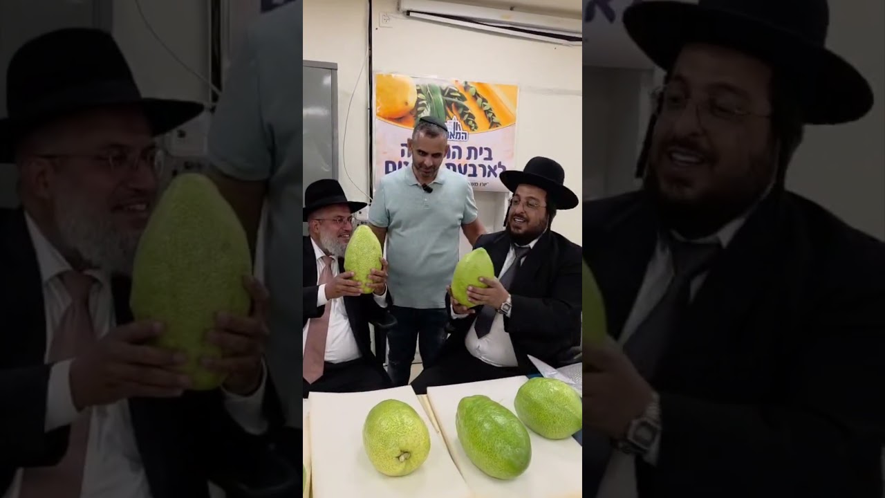 הרב יהורם יפת