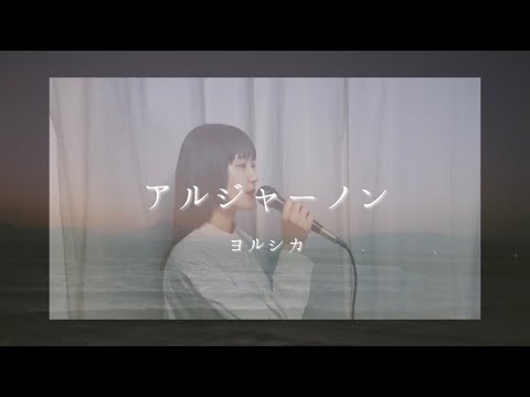 【歌ってみた】アルジャーノン / ヨルシカ(covered by lino)