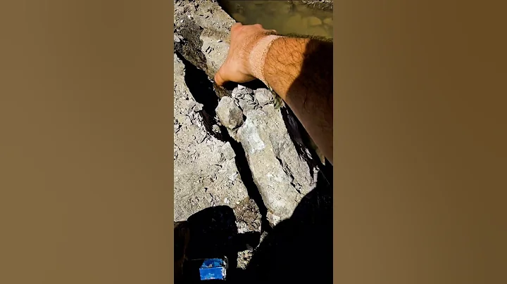 I ‼️FOUND THIS‼️ IN ANCIENT 500,000,000 Year Old ROCK ⛏️🪨💎 #shorts