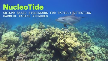 NucleoTide - CRISPR based biosensors for rapidly detecting harmful marine microbes