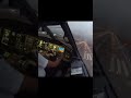 Crosswind Landing Of An Embraer 195 Elif737 