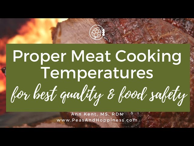 Is it Done Yet? Meat Cooking Temperatures - My Fearless Kitchen