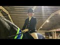 Petplan Equine Summer Area Festival Elementary Silver Freestyle Champion - Emma Chinn