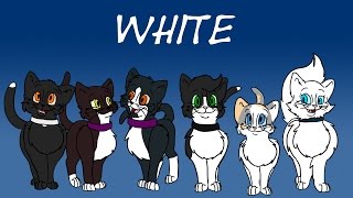 Cat Colour Genetics: Pt 2  White