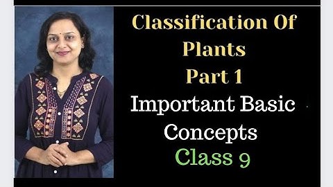 Classification of Plants | Part 1 | Important Basic Concepts | Class 9 | Maharashtra State Board