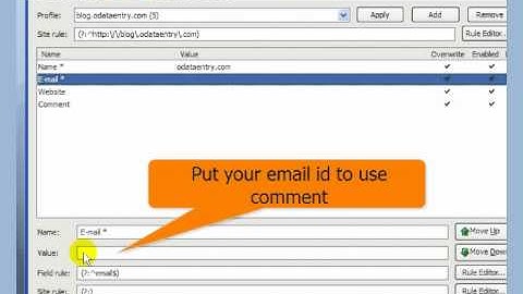 use autofill form to do blog comment, forum post in a minute.mp4