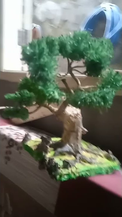 bonsai beringin penjaja-#short
