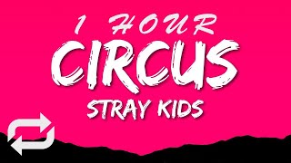 Stray Kids - CIRCUS (Lyrics) | 1 HOUR