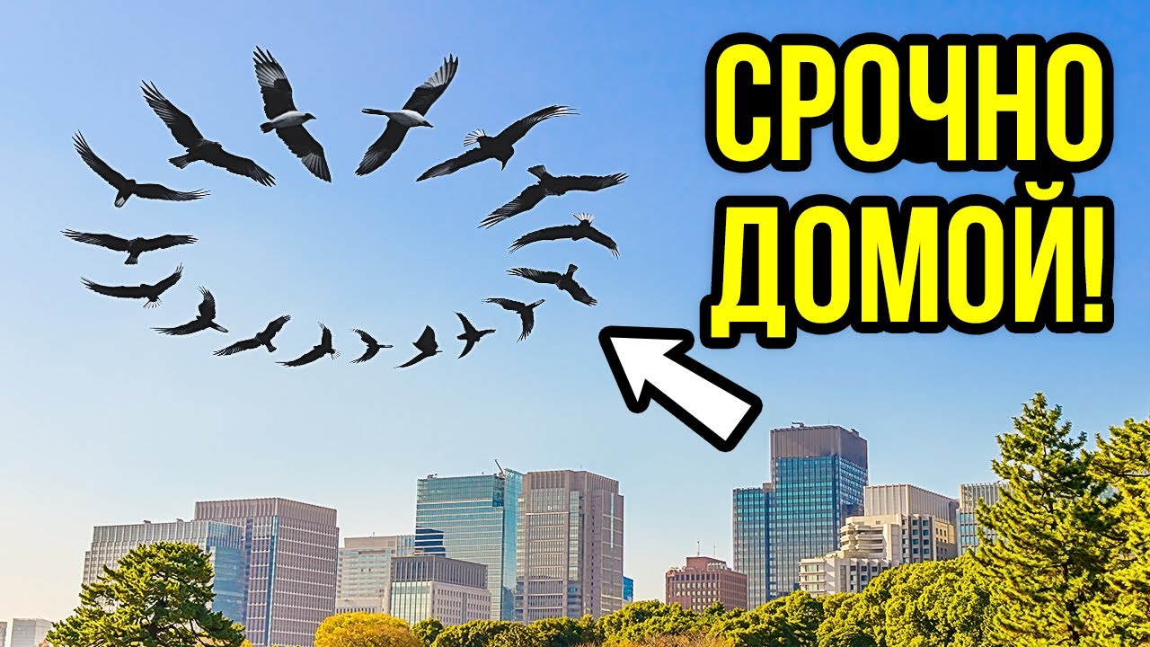 Если увидите это в небе, немедленно найдите укрытие - YouTube