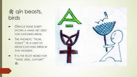 Chinese Oracle Bone Characters Explained in English Part 30