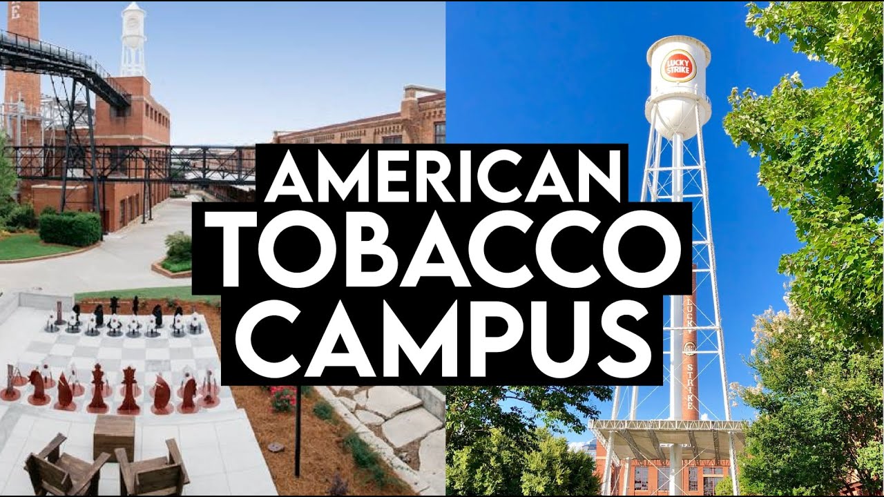how tall do tobacco plants grow Does discovery of plant ageing gene represent an alternative to GMOs?
