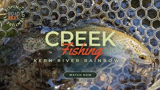 Creek Fishing For Kern River Rainbows - Native Trout Fly Fishing by Road and Reel 2,239 views 10 months ago 9 minutes, 9 seconds