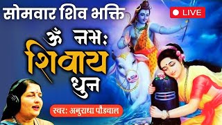 आज सोमवार के दिन लगातार शिव धुन सुनने मन को मिलेगी शांति और दूर होंगे सारे कष्ट | Shiv Dhun