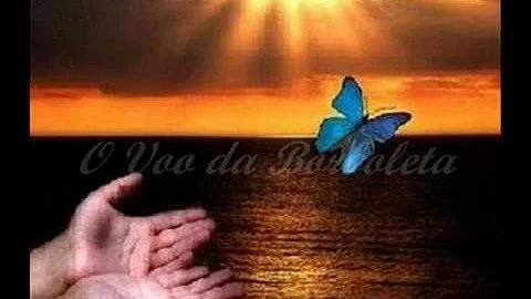 Como a Borboleta voa?