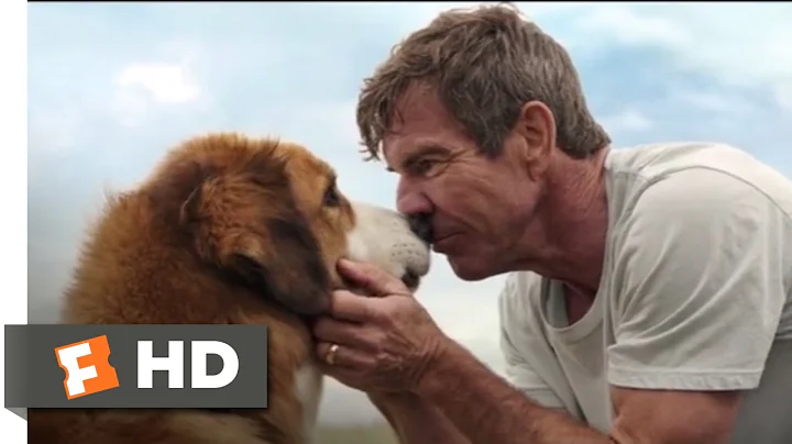 A Dog's Purpose (2017) - Bailey Comes Home Scene (10/10) | Movieclips - DayDayNews