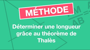Déterminer une longueur grâce au théorème de Thalès
