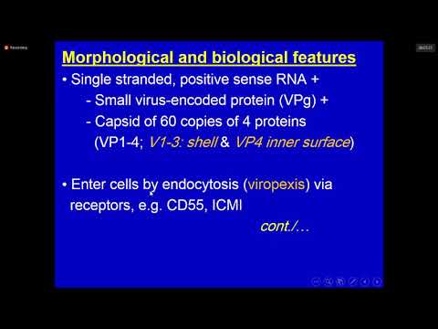 Lec. 4 | Microbiology ( Dr. Zainalabideen ) | Enteroviruses