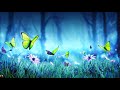 Let Go Of Negative Energy 417 Hz Rain Piano Music Stop Unwanted Emotions Stress mp3