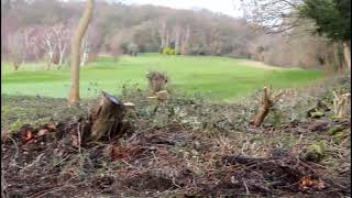 Croham Hurst F Club Winter Works In Lockdown 3