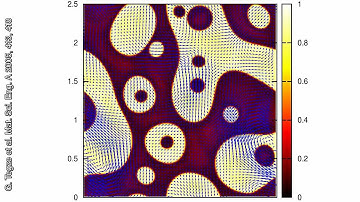 Simulation of phase separation and convection driven coarsening in monotectic aluminium-bismuth.