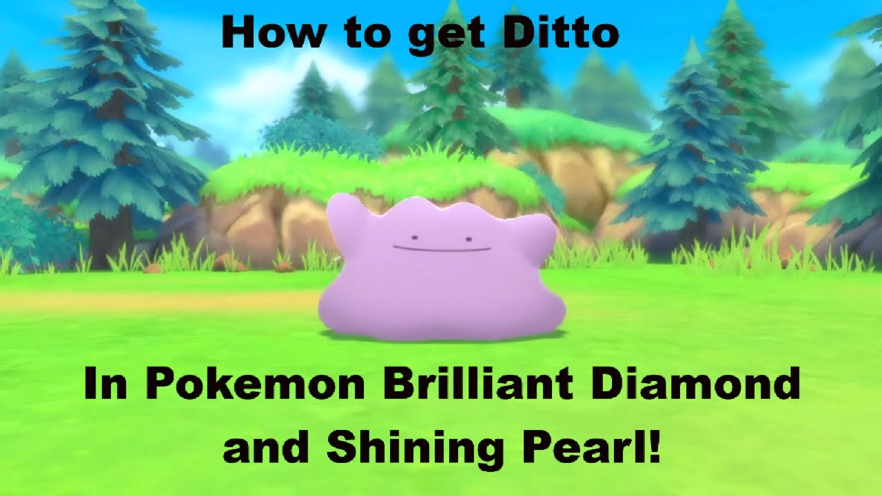 How To Get Shiny Ditto 6IV BDSP - Brilliant Diamond Shining Pearl Guide 