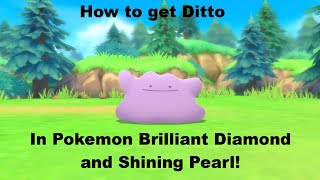 How to find Ditto in Pokemon Brilliant Diamond and Shining Pearl!