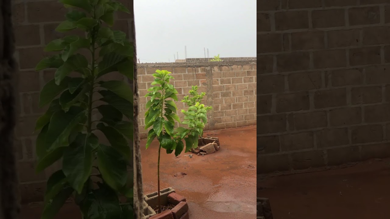 CICLONE CHIDO EM MOÇAMBIQUE- Estava previsto para hoje dia 15.12.2024. Rezem por nós.#shots