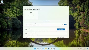 How to Check If Computer Has Bluetooth in Windows 11 [Tutorial]