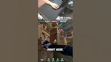 Best Vyse Lotus C Setup (Valorant Tips)