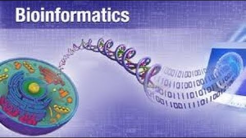 BIF 501-  Quiz 1 (2020  VU)