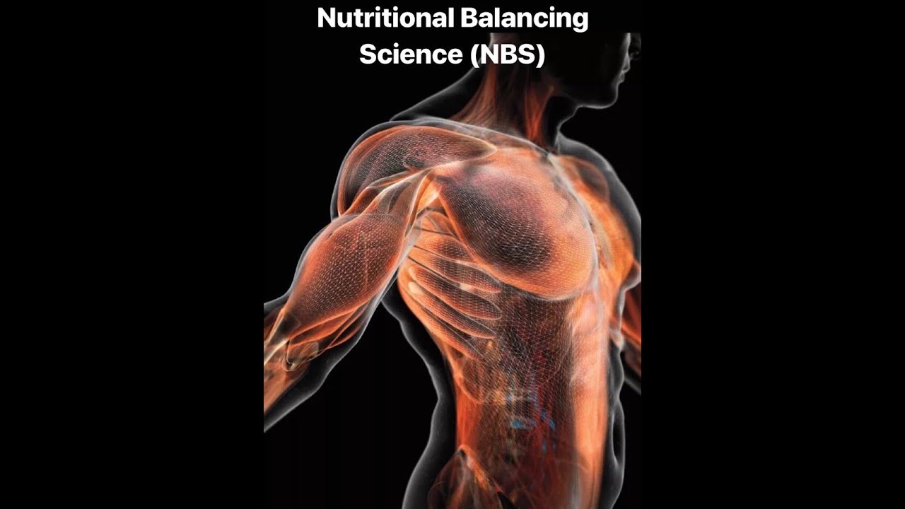 Анализ волос. Биохимия организма.🍀Nutritional Balancing Science (NBS). Introduction.