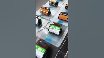 Life of a Disposable Camera