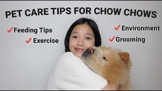 CHOW CHOW PUPPY PET CARE TIPS! These four things are a must! (Vlog#55)
