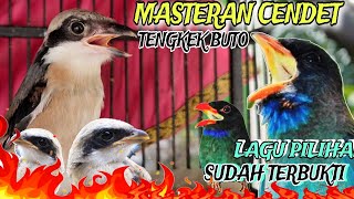 MASTERAN CENDET FULL TEMBAKAN TENGKEK BUTO PANJANG