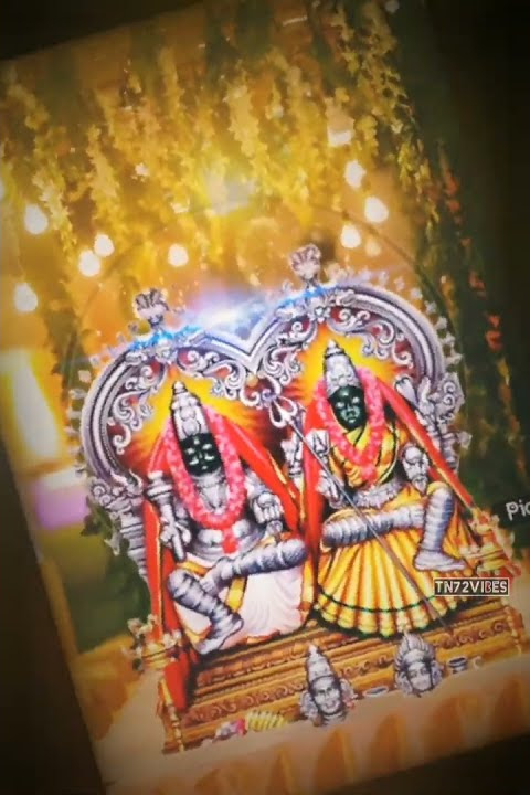 Mutharamman kummi songs status🥰🙏💞#kulasaimutharammansongsstatus#kulasainayagi#mutharammankummi