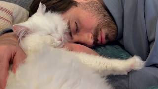 She Was Supposed to Stay 3 Days — 6 Months Later She Still Sleeps on His Head
