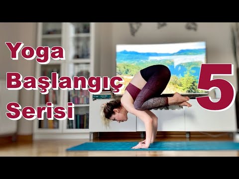 Yoga Başlangıç Serisi - 5 | Yeni Başlayanlar İçin Evde Yoga   #WithMe