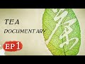 Tea EP1 | 茶，一片树叶的故事 | Documentary
