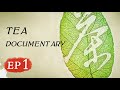 Tea EP1 | 茶,一片树叶的故事 | Documentary
