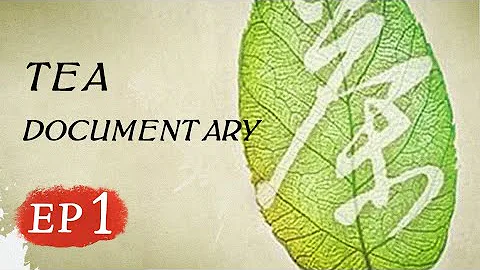 Tea EP1 | 茶，一片树叶的故事 | Documentary - DayDayNews