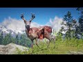 Playing as DEAD Buck in Red Dead Redemption 2 PC 4K