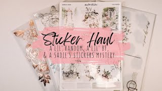 Sticker Haul | A Lil' Random, A Lil' Black Friday, & A Sadie's Stickers Mystery