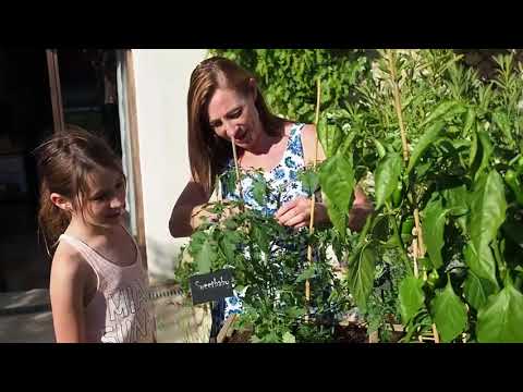 Vidéo: Herb 'N' Living: Cultiver Un Jardin Familial Pour Votre Animal De Compagnie