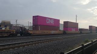 Famous Up 1982 on a stack train off donner in roseville Profile
