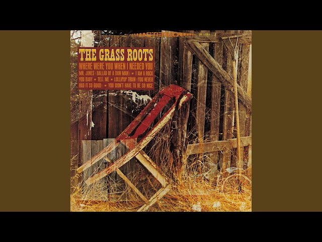 THE GRASS ROOTS - Only When You're Lonely