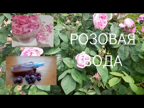 Вода из лепестков