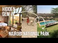 Nairobi National Park Stay | Tips on how to become a content creator with a mobile phone only